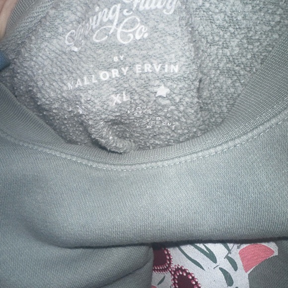 Living Fully Sage Green Valentines Tiger Sweatshirt- Amazing Condition! - Picture 5 of 5